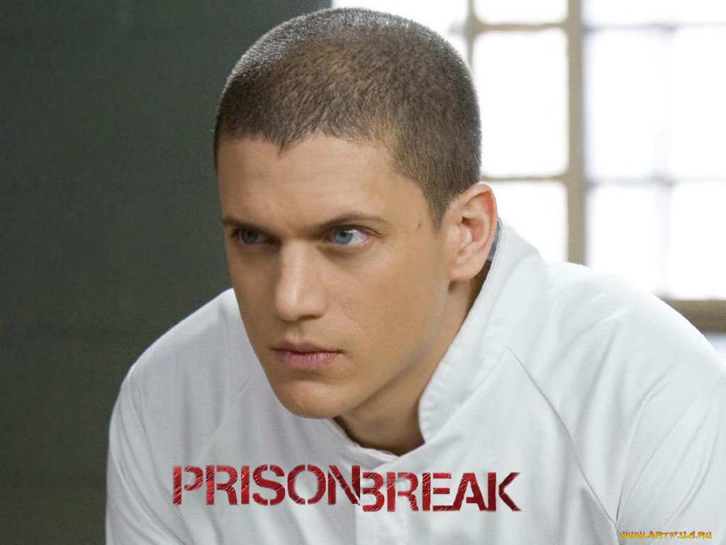 prison, break, , 